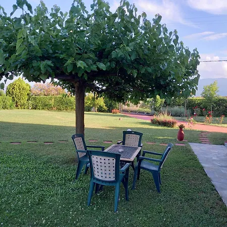 Willa Tammy's Garden House *