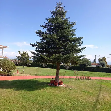 Tammy's Garden House Leptokaria