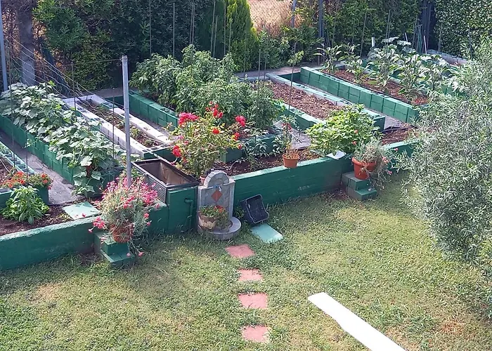 Tammy's Garden House Villa *