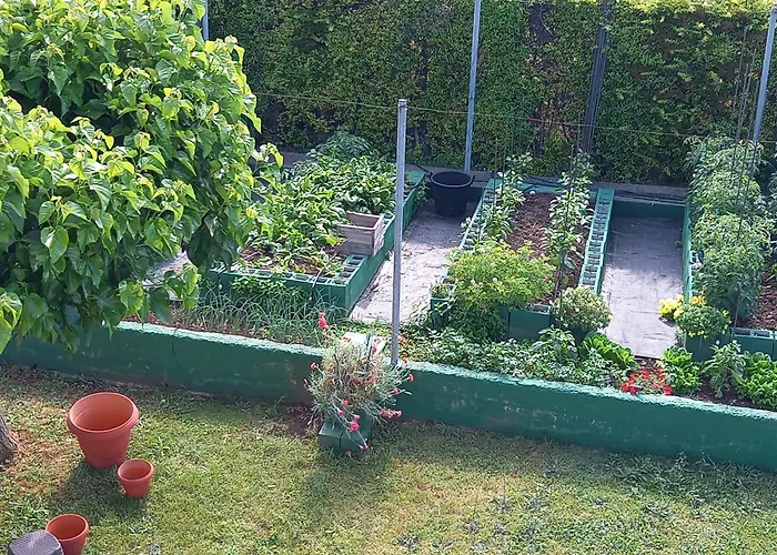 Tammy's Garden House *