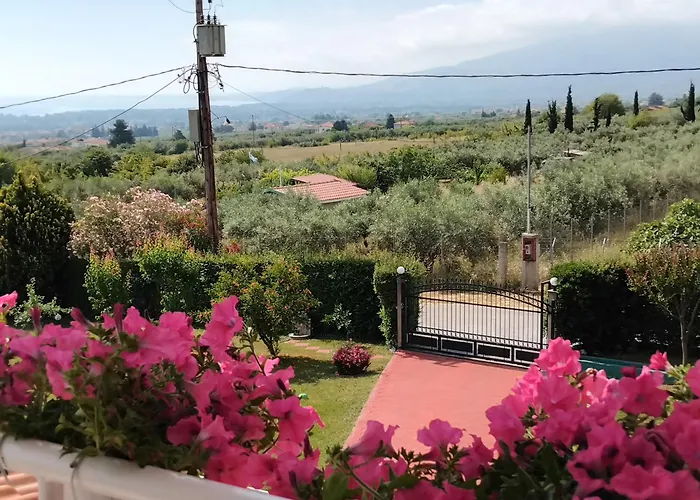 Tammy's Garden House Villa *