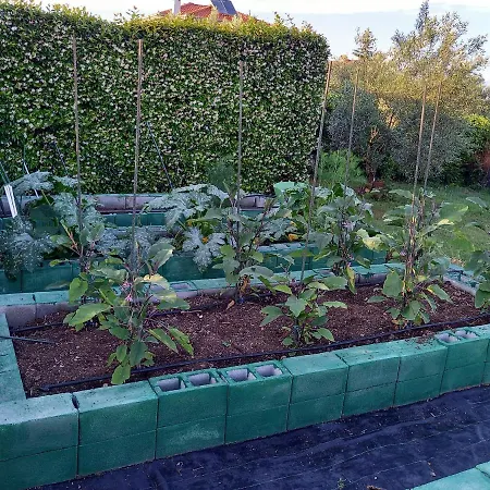 Tammy's Garden House فيلة