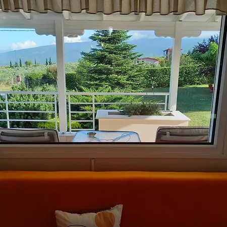 Tammy's Garden House *