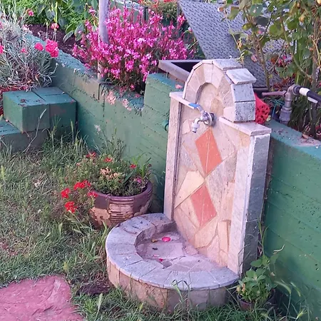 Tammy's Garden House 别墅 乐托卡亚