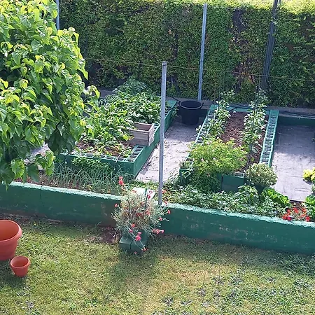 Tammy's Garden House *