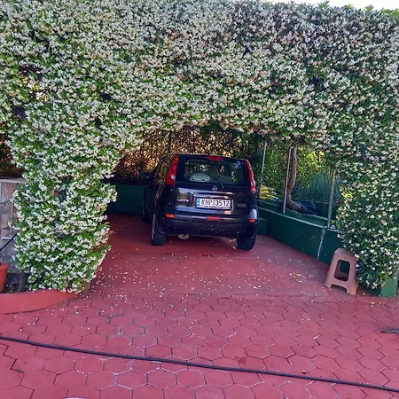别墅 Tammy's Garden House