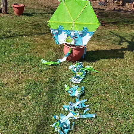 Tammy's Garden House *