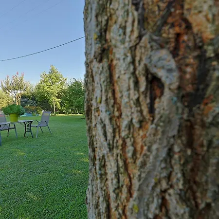 Tammy's Garden House ليبتوكاريا