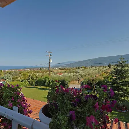 فيلة Tammy's Garden House *