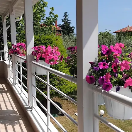 Tammy's Garden House Villa