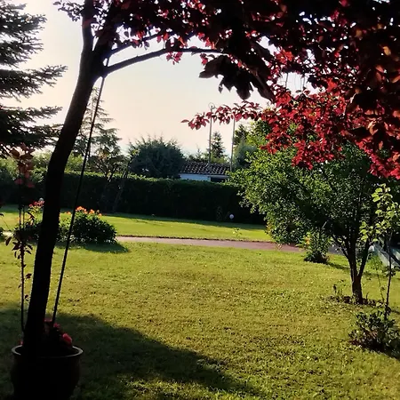 Tammy's Garden House