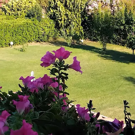 Tammy's Garden House Leptokarya (Pieria)