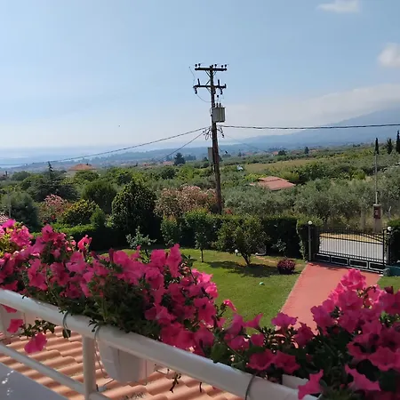 فيلة Tammy's Garden House *