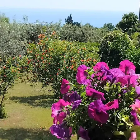 Tammy's Garden House Villa Leptokarya (Pieria)