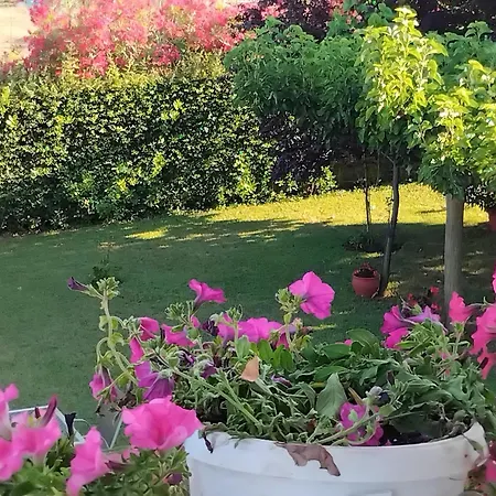 Tammy's Garden House Leptokarya (Pieria)