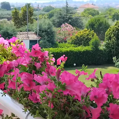 Tammy's Garden House * Leptokaria