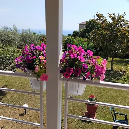 Tammy's Garden House
