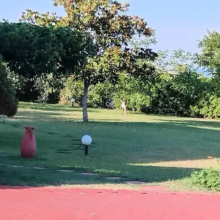 فيلة Tammy's Garden House