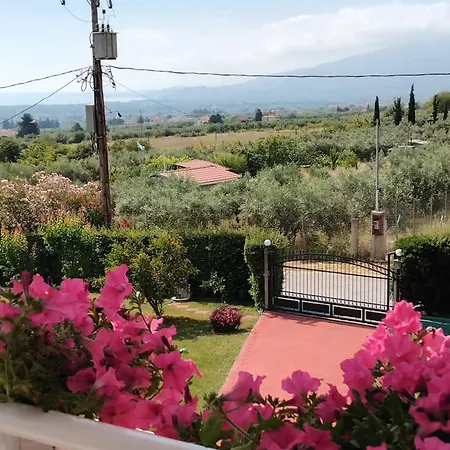 Tammy's Garden House Villa *