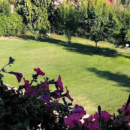别墅 Tammy's Garden House 乐托卡亚