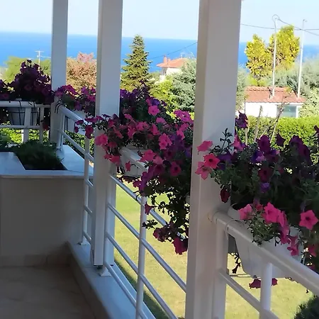 Tammy's Garden House *