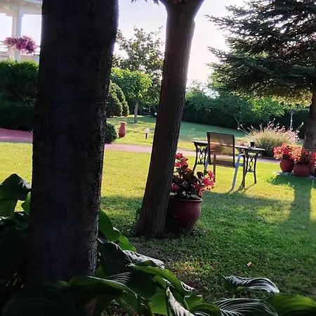 Tammy's Garden House