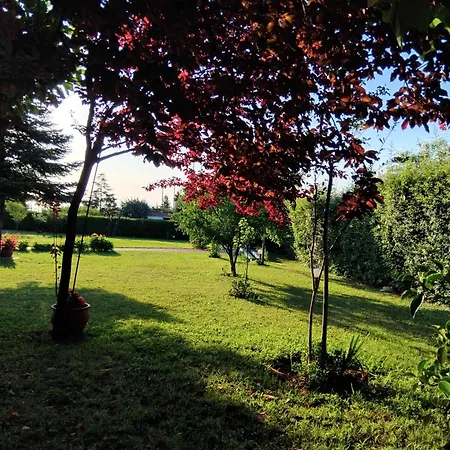 فيلة Tammy's Garden House *