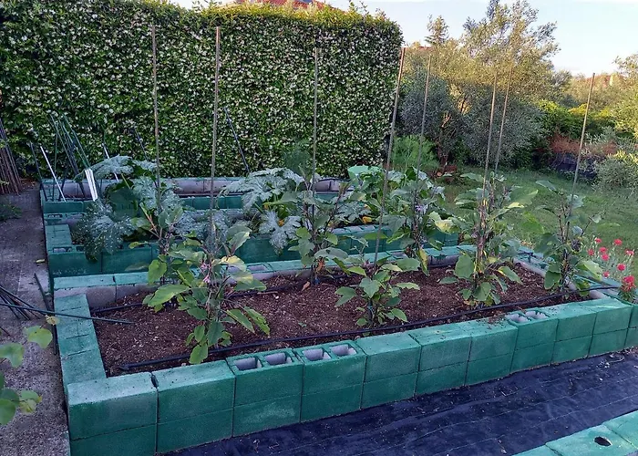 Tammy's Garden House Βίλα